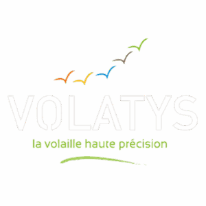 VOLATYS2